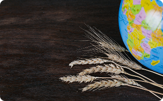 Agroton expands export to new markets