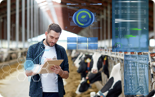 Modern technologies in Agroton livestock farming