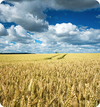Agroton partner products on the shelf