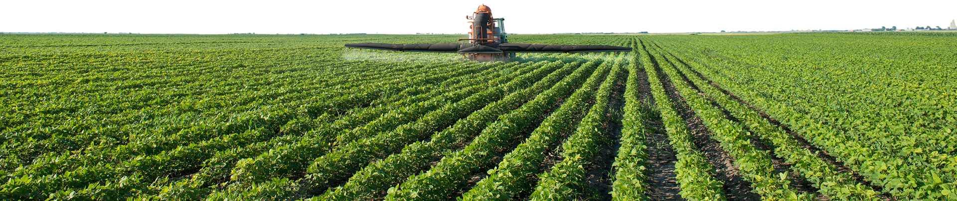Bread and grain — signature Agroton products